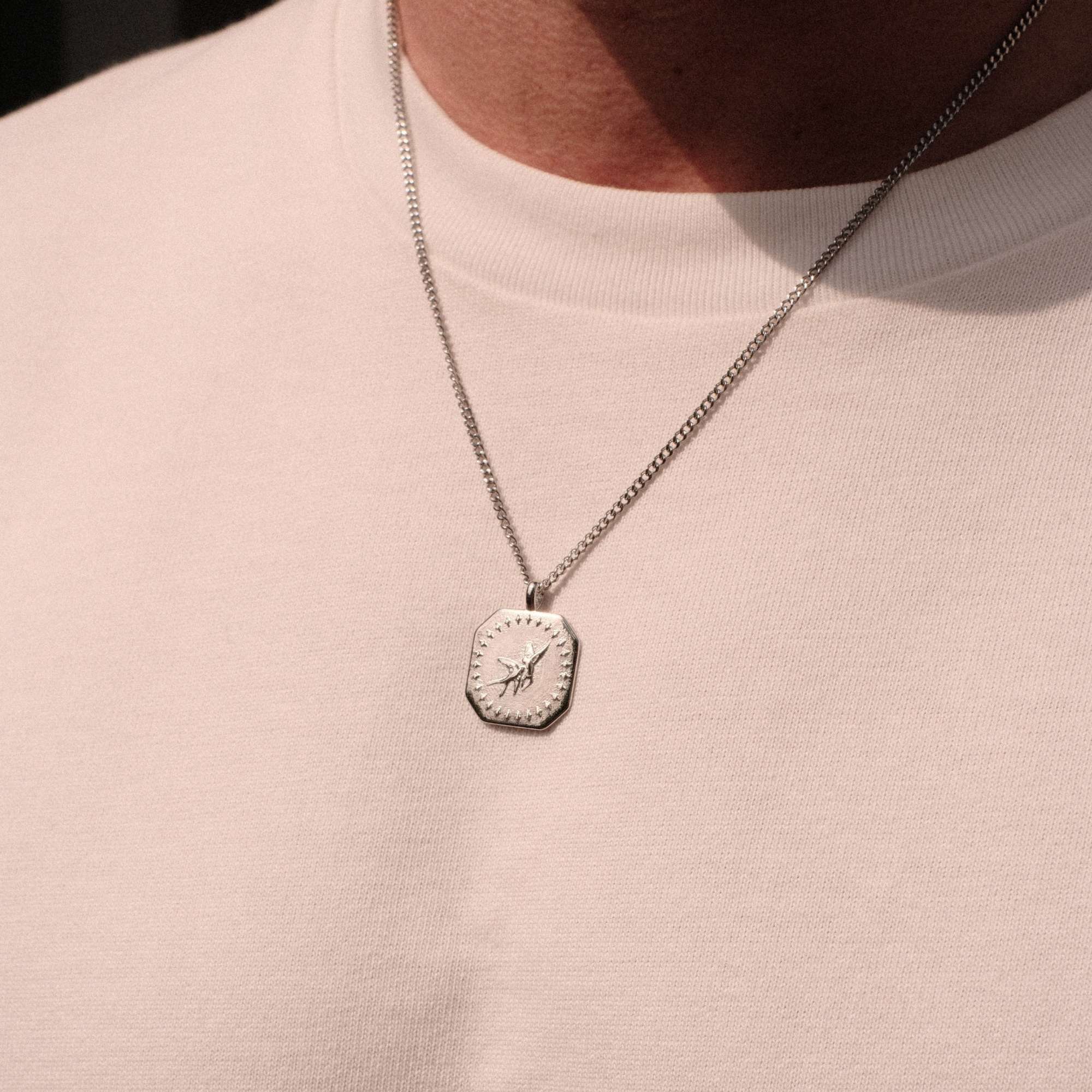 K12 - SILVER AVIAN CHAIN